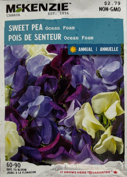 Ocean Foam Sweet Pea - LandscapeDirect