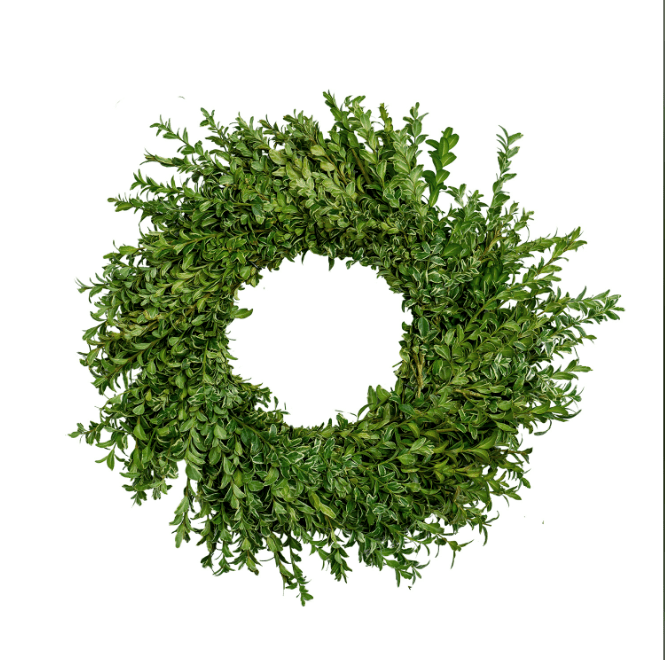 Oregonia Wreath - 20 Inch - LandscapeDirect