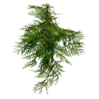 Port Orford Cedar Boughs - LandscapeDirect