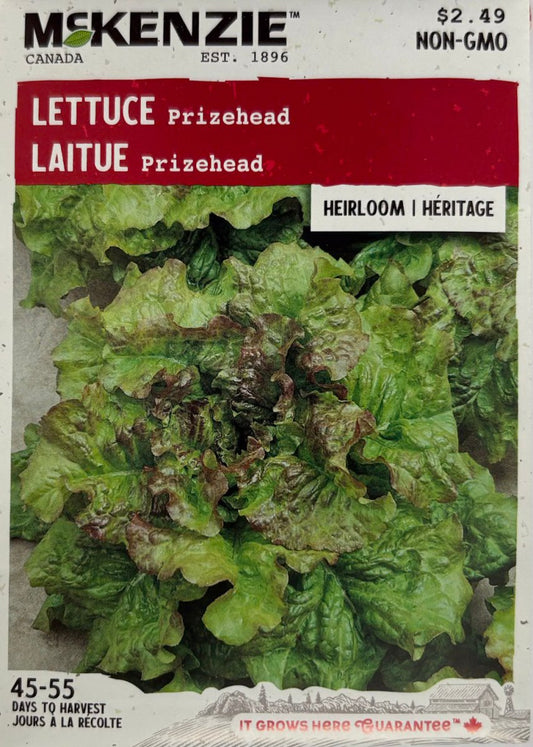 Prizehead Lettuce - LandscapeDirect