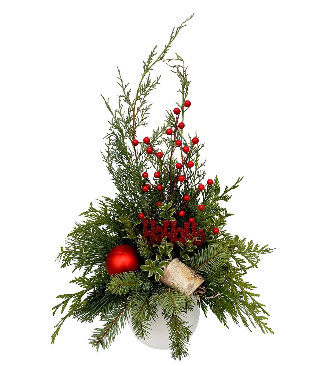 Red Berry Christmas Arrangement - LandscapeDirect