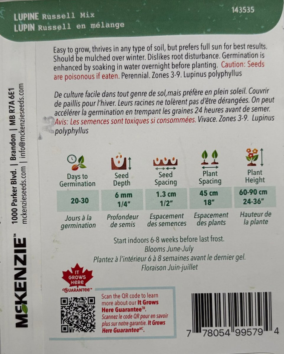 Russell Mix Lupine - LandscapeDirect