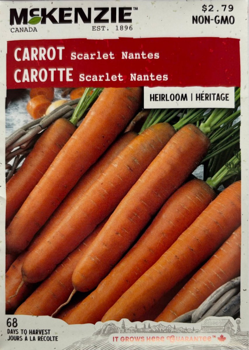 Scarlet Nantes Carrot - LandscapeDirect