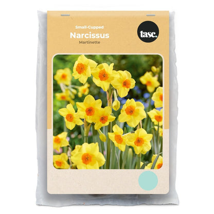 Small-Cupped Martinette Daffodil - LandscapeDirect