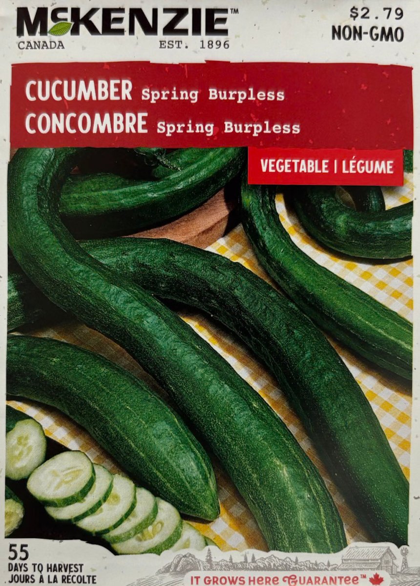 Spring Burpless Cucumber - LandscapeDirect