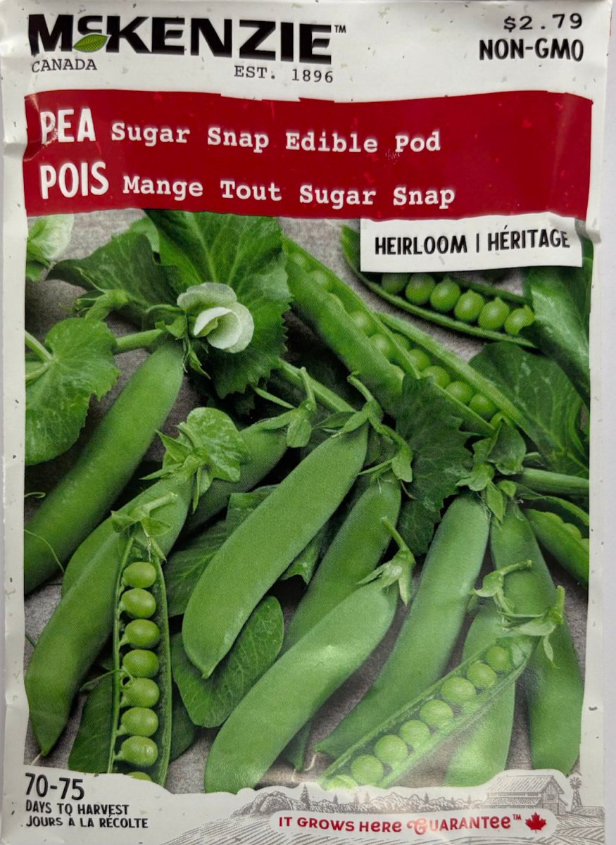 Sugar Snap Edible Pod Pea - LandscapeDirect