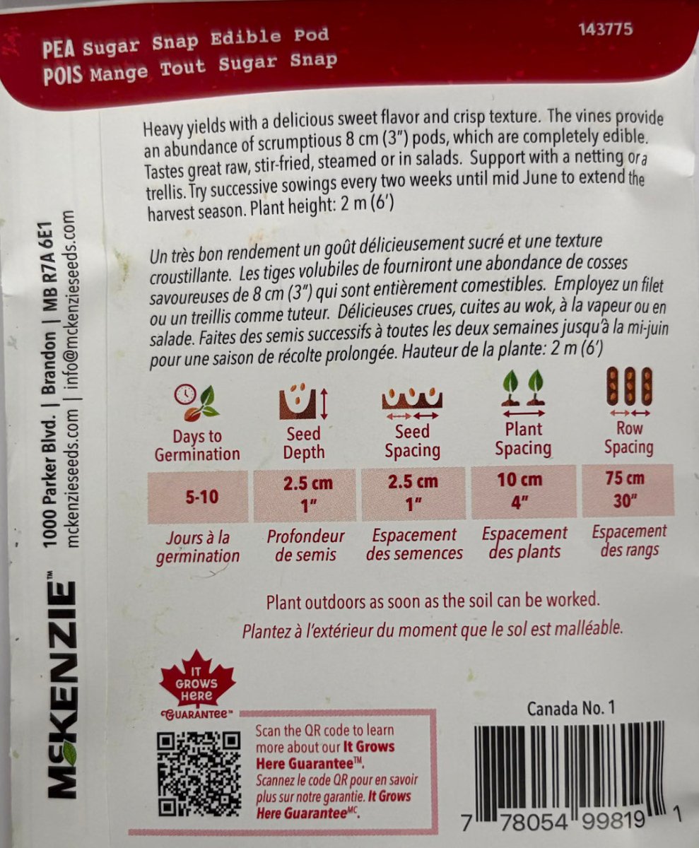Sugar Snap Edible Pod Pea - LandscapeDirect