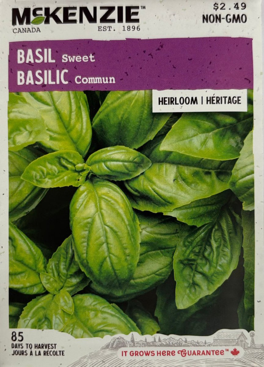 Sweet Basil - LandscapeDirect