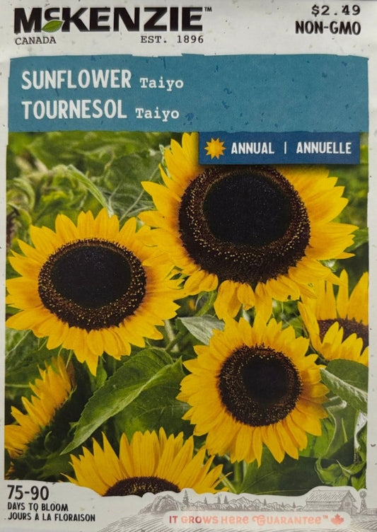 Taiyo Sunflower - LandscapeDirect