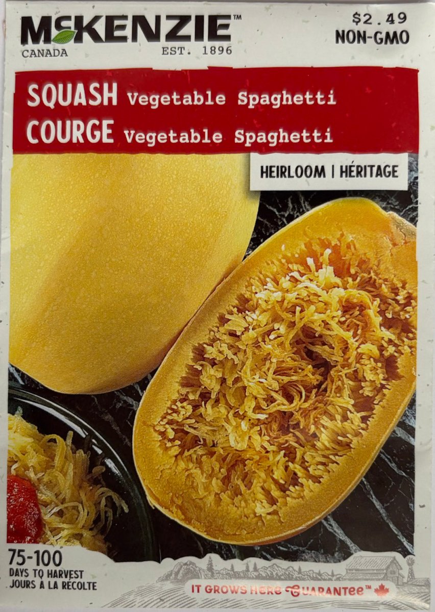 Vegetable Spaghetti Squash - LandscapeDirect