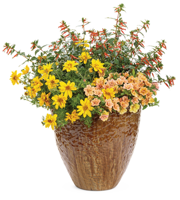 French Bistro - Patio Container Kit - LandscapeDirect