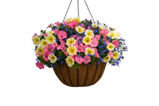 Island Luau - Hanging Basket Kit - LandscapeDirect