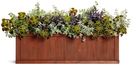Lady Luck - Patio Container Kit - LandscapeDirect