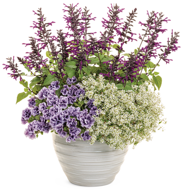 Lake Tahoe - Patio Container Kit - LandscapeDirect