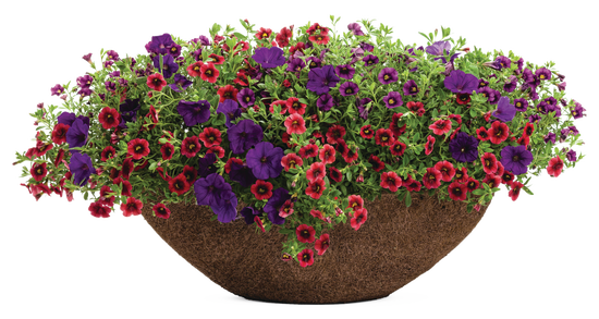 Monaco - Patio Container Kit - LandscapeDirect