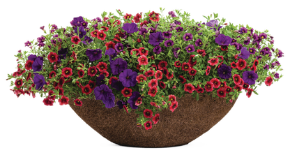 Monaco - Patio Container Kit - LandscapeDirect